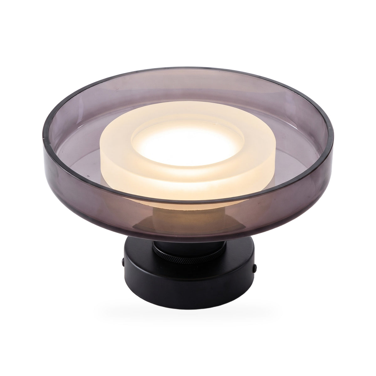 Round Glass Disc Flush LED Wall Sconce