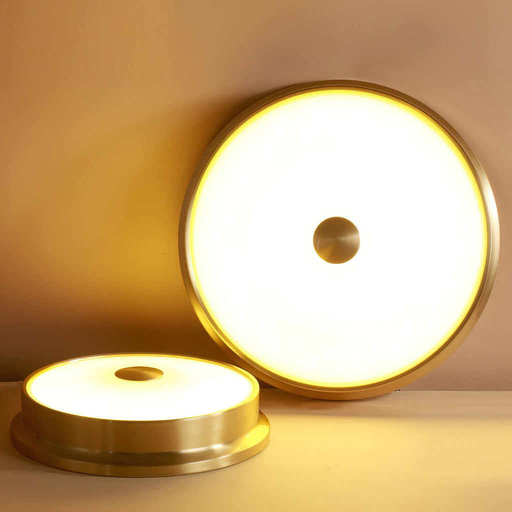 Slim Round Frosted Glass LED Flush Ceiling Light