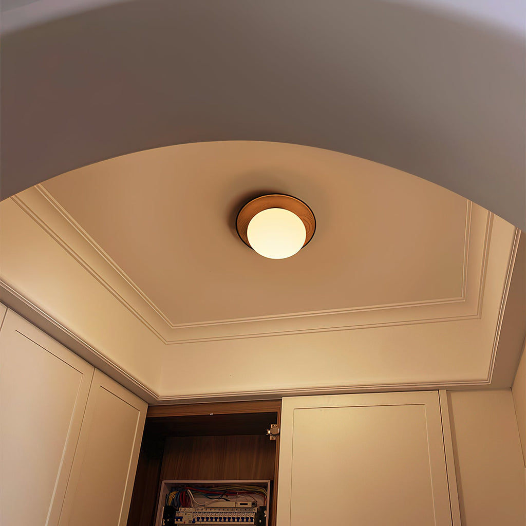 Hardwood Backplate Glass Dome LED Wall Light