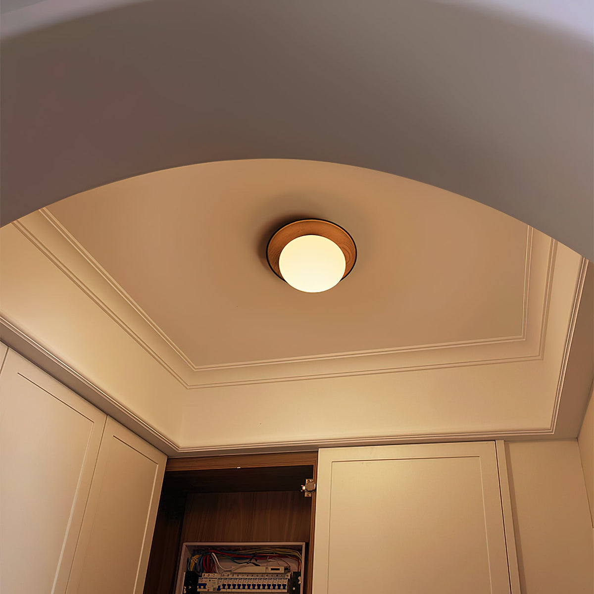 Hardwood Backplate Glass Dome LED Wall Light