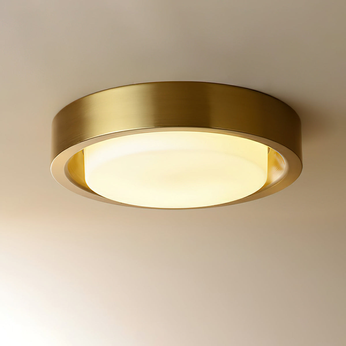 Wide Round Frosted Glass LED Flush Ceiling Light