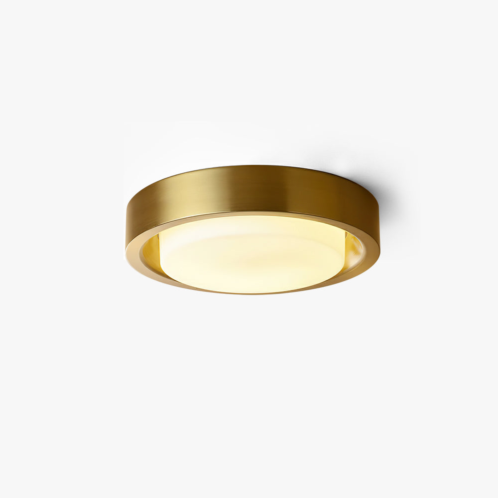 Wide Round Frosted Glass LED Flush Ceiling Light
