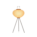 Moth product image