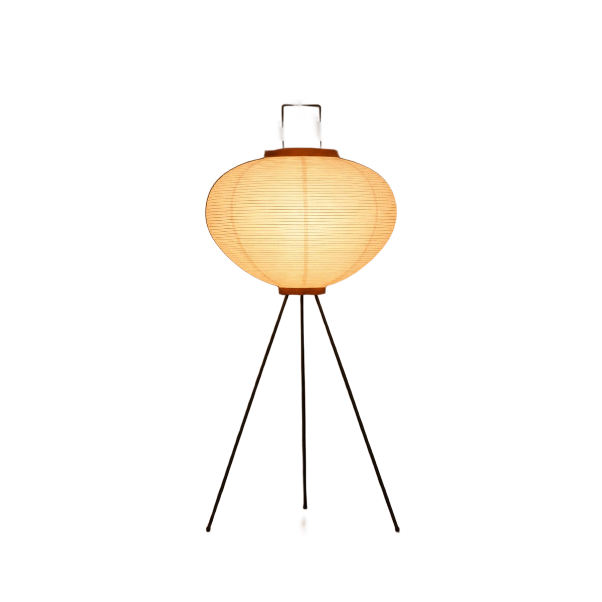 Moth product image
