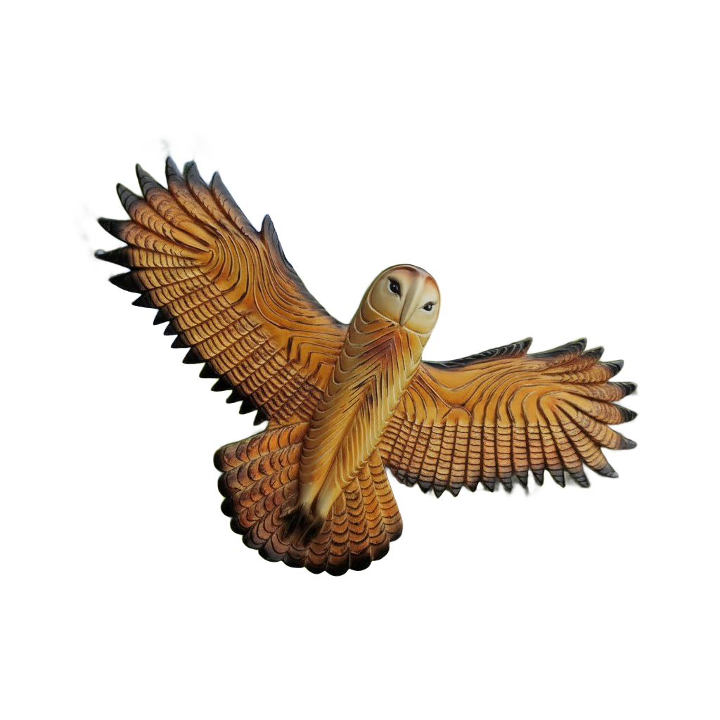 Carved Wood Barn Owl Wall Art